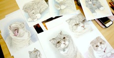 自由制作で猫シリーズ