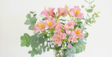 生徒さんに頂いたお花もモチーフに