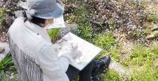 一般クラス「近つ飛鳥風土記の丘の桜」<br>現地で描いて、残りはアトリエで仕上げます