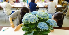 児童画クラス「アジサイの写生」<br>ちょっと変わったアジサイもあります