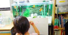 児童画クラス<br>大好きな金魚を描くiちゃん