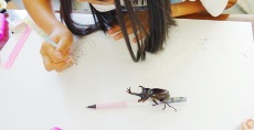 児童画クラス<br>7月テーマ「カブトムシを描こう」