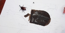 児童画クラス<br>7月テーマ「カブトムシを描こう」