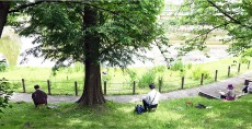 一般クラス6月白鷺公園スケッチ